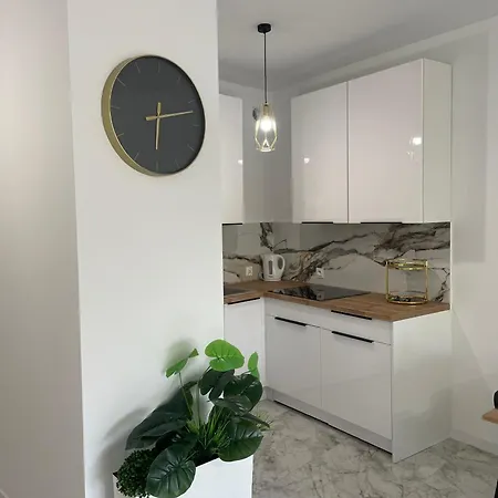 Prestige Slow Centrum Jezioro Magistrackie 100m Internet Apartament